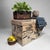Shōwa Japanese Tea Chest with Newspaper, 1960s For Sale - Image 6 of 14