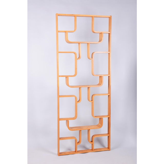 Mid-Century Room Divider by L. Volak for Drevopodnik Holesov, Czech, 1960s For Sale - Image 12 of 12