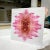 Contemporary "Dahlia 1 Collage 6" Contemporary Botanical Photograph by Erin Derby, Framed in Plexi For Sale - Image 3 of 4