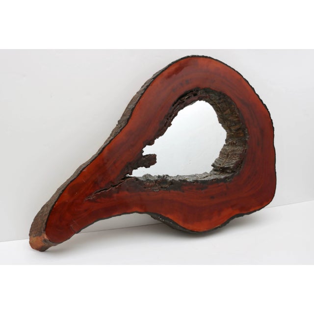 This wall mirror is fabricated from a section of a fallen cypress tree and has been coated with a clear lacquer finish....