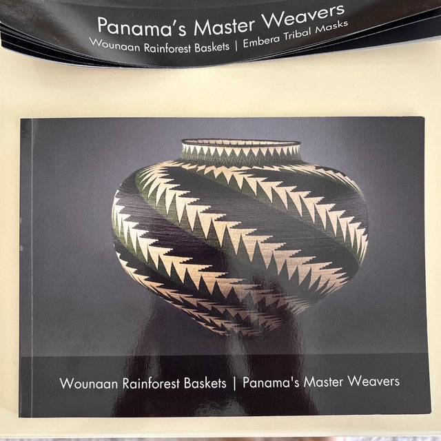 Mint Beautiful 21st Century Wounaan Rainforest Basket For Sale - Image 8 of 10