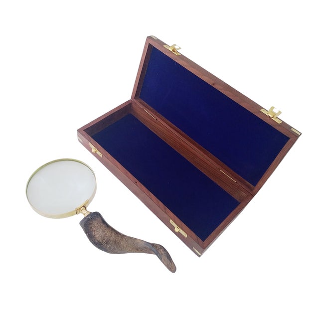 Contemporary Mid-Century Brass Magnifying Glass With Horn Handle in Wooden Box For Sale - Image 3 of 5