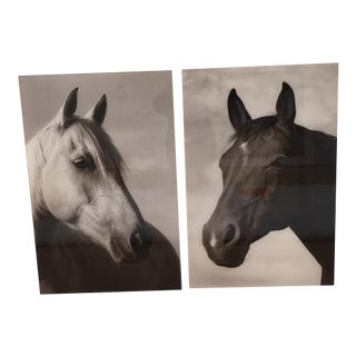 Bonnie Edelman Sermo Per Equus Photographs - a Pair For Sale