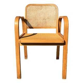 Bentwood and Cane Arm Chair, 1960 For Sale