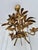 French Gilt Palm Leaf Chandelier, 1950 For Sale - Image 4 of 15