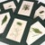 Dark Green Set of 6 Antique Hand-Colored Sowerby Seaweed Prints For Sale - Image 8 of 8