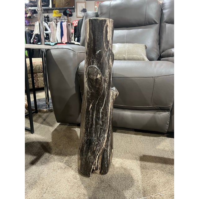 This black petrified tree branch sculpture is a striking natural artifact that brings sculptural presence and organic...