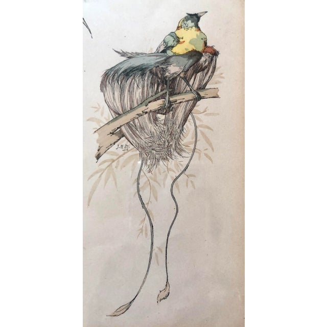 19th C. French Drawings of Birds, Pair For Sale - Image 4 of 11