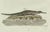Early 19th Century Bertuch, American Crocodile and Gharial, 1802, Engraving For Sale - Image 5 of 10