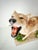 Cabin Vintage Full-Body Howling Coyote Taxidermy on Handcrafted Woodland Display Base For Sale - Image 3 of 12