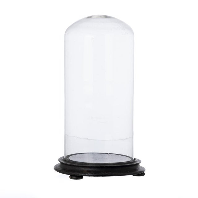 Black Crystal Glass Dome, 19th Century For Sale - Image 8 of 8