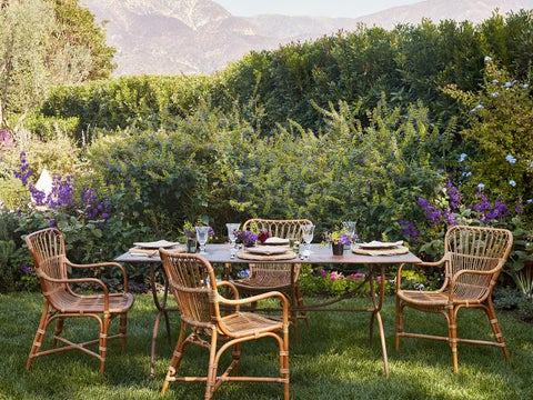 Image of The Great Outdoors
