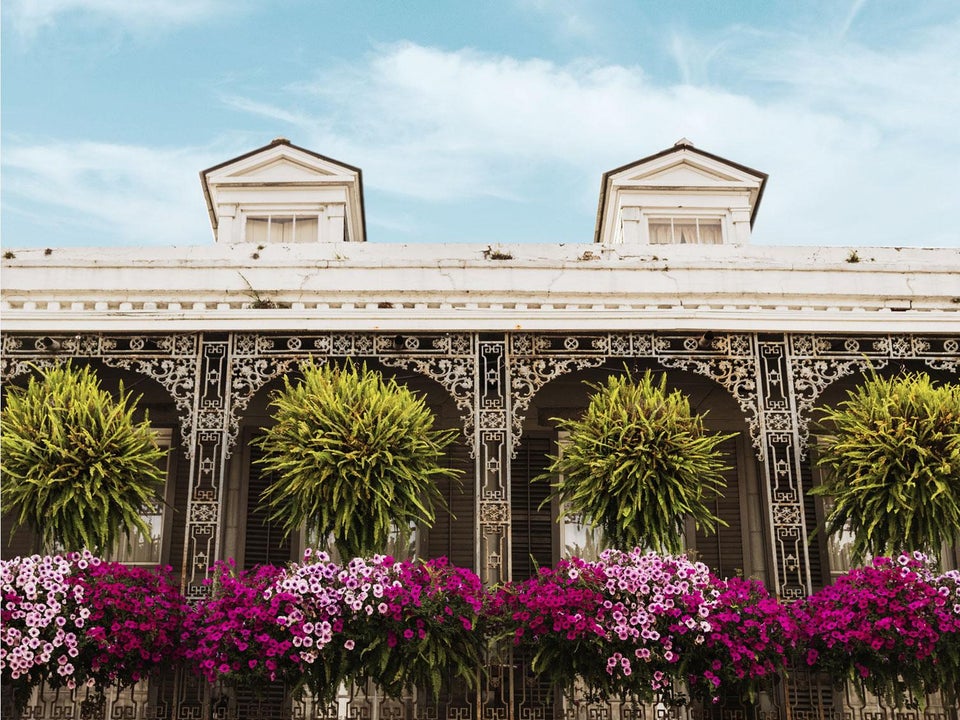 Shop Antiquing in New Orleans