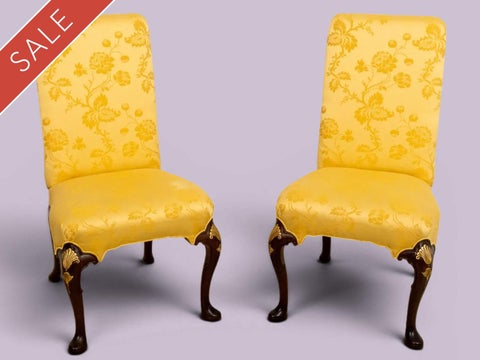 Image of 20% Stenella Antiques