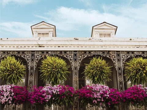 Image of Antiquing in New Orleans